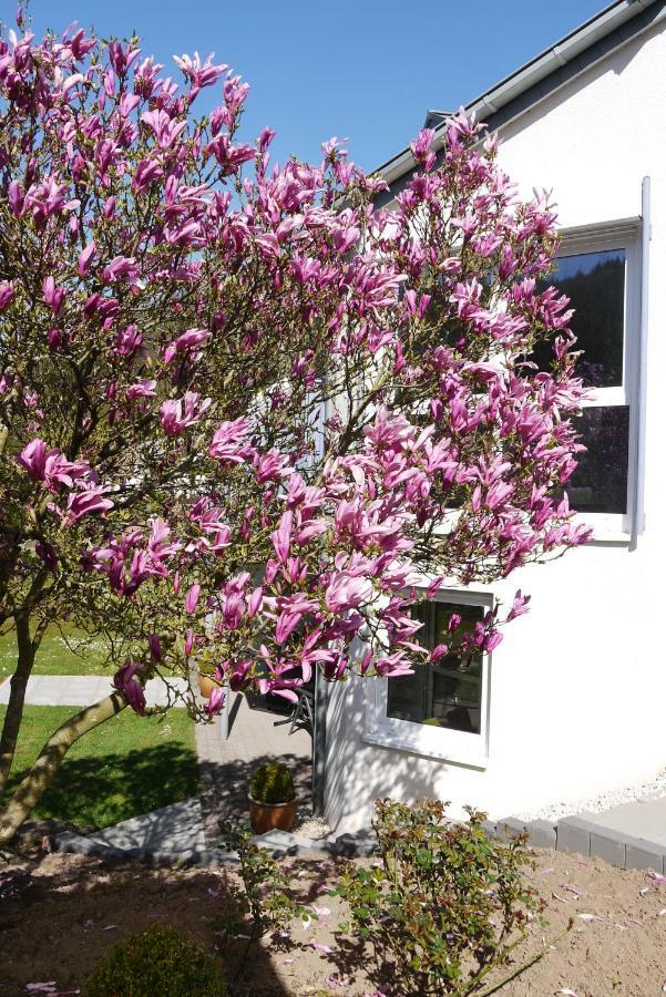Ferienwohnung "Magnolia" Kordel Екстериор снимка